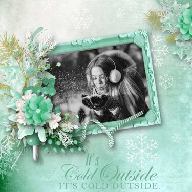 It&#039;s Cold Outside by Eudora Designs