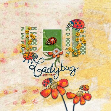 Ladybug MiniKit hand drawn by Christine Art 