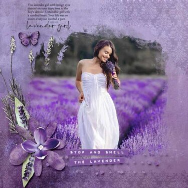 Lavender &amp; co by Chunlin designs