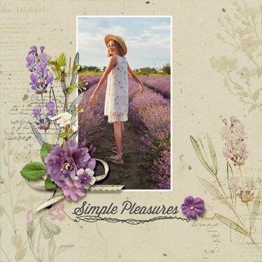 Lavender and Lace by Karen Chrisman