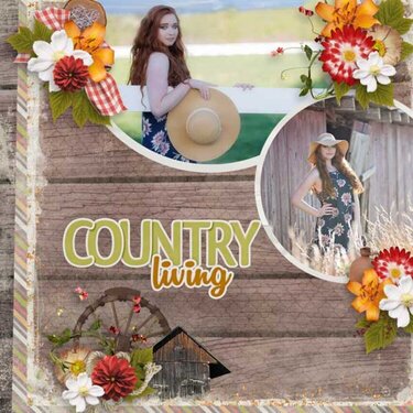 Little Bit Country  by Aimee Harrison