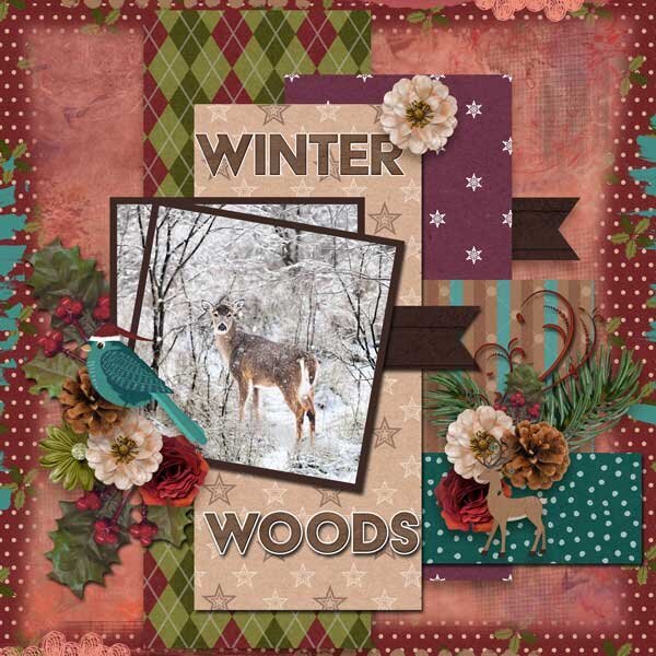 Magical Christmas Woods By Adrienne Skelton Design 