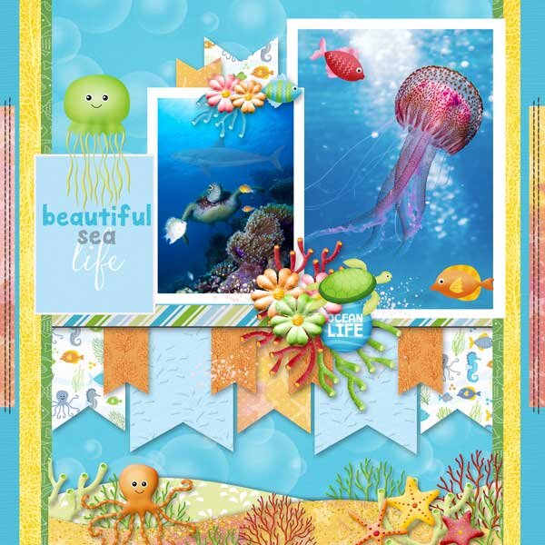 Ocean Life by Lindsay Jane