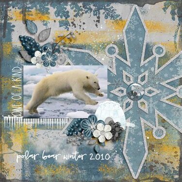 Polar Freeze by Day Dreams &#039;n Designs