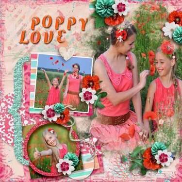 Poppy Lane Collection by Aimee Harrison