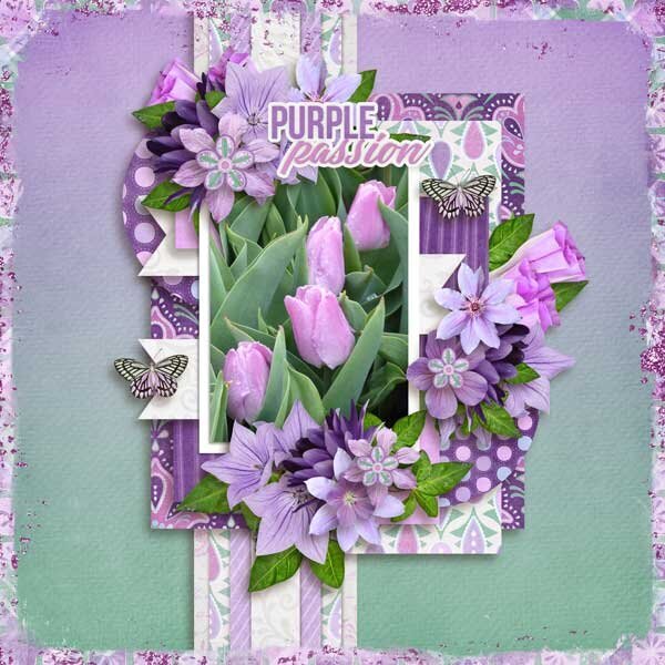 Purple Passion Collection by Aimee Harrison