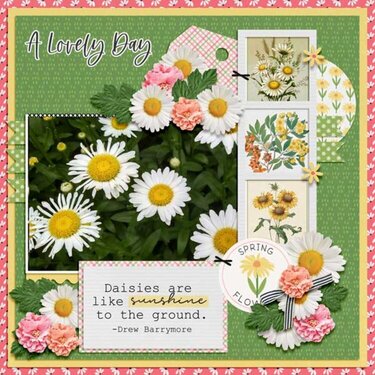 Spring Daisies by Karen Chrisman Designs 
