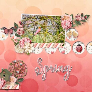 Spring in Bloom Kit by JoCee Designs
