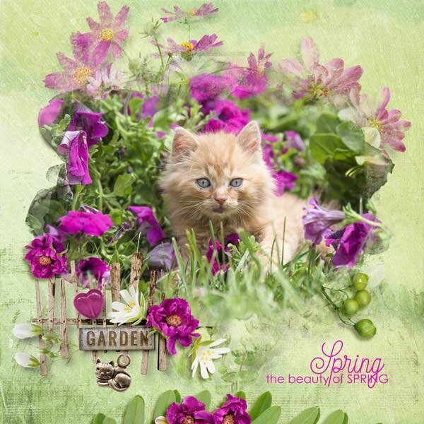 Spring In The Garden by Palvinka Designs 