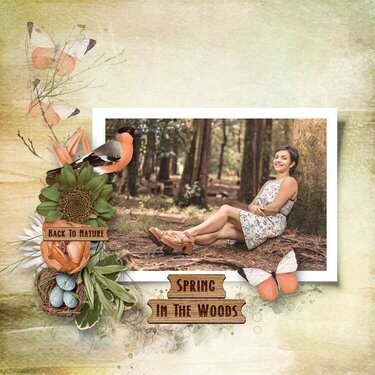 Spring In The Woods by  Palvinka Designs 