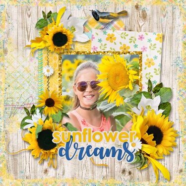 Sunflower Dreams by Aimee Harrison