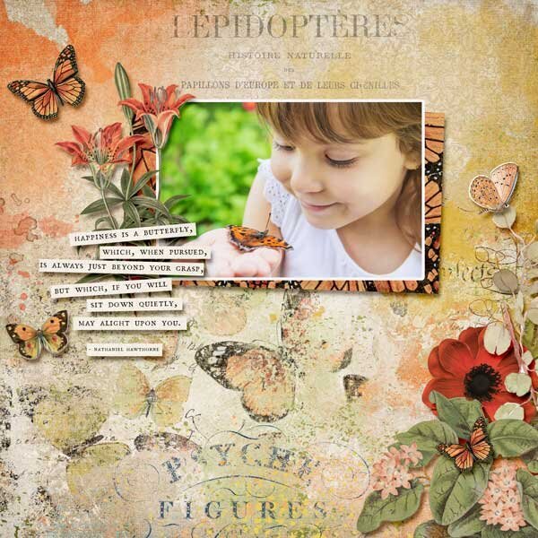 The Butterfly Effect by On A Whimsical Adventure