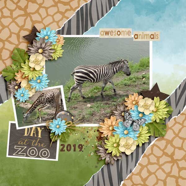 The Zoo Collection by Lindsay Jane