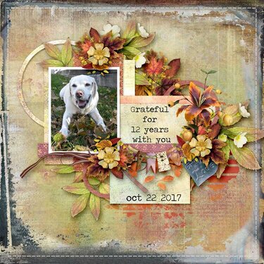 This is Me November Collection by Snickerdoodle Designs