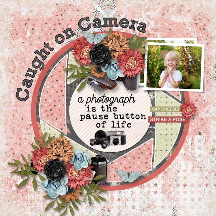 Through the Lens by Aimee Harrison Nov  2020 Anthology