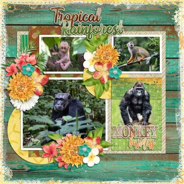 Tropical Rainforest by Aimee Harrison &amp; Cindy Ritter 
