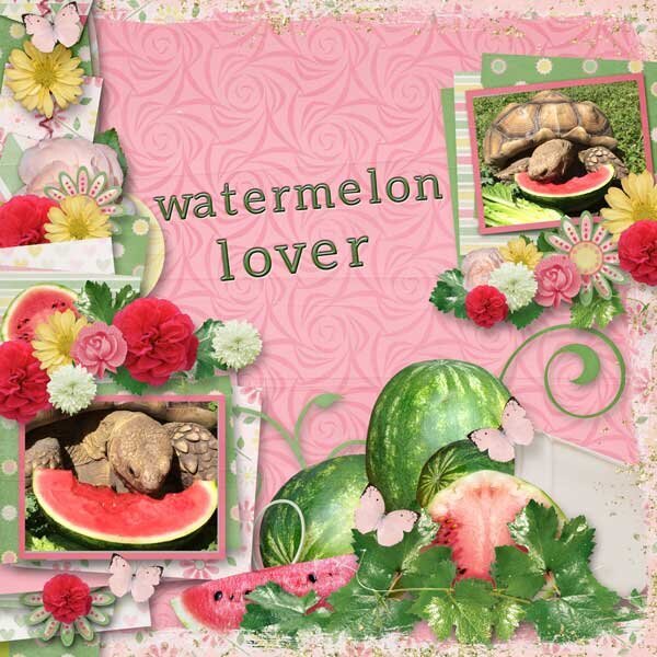 Watermelon Love  by  Aimee Harrison
