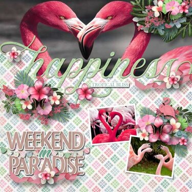Weekend Paradise Page Kit by Aimee Harrison