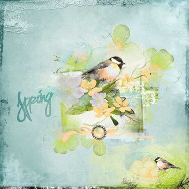Welcome Spring  by Tiramisu design