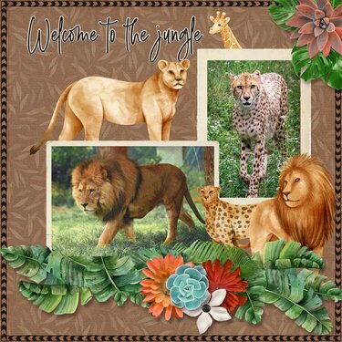 Welcome to the Jungle Collection by CRK Designs 