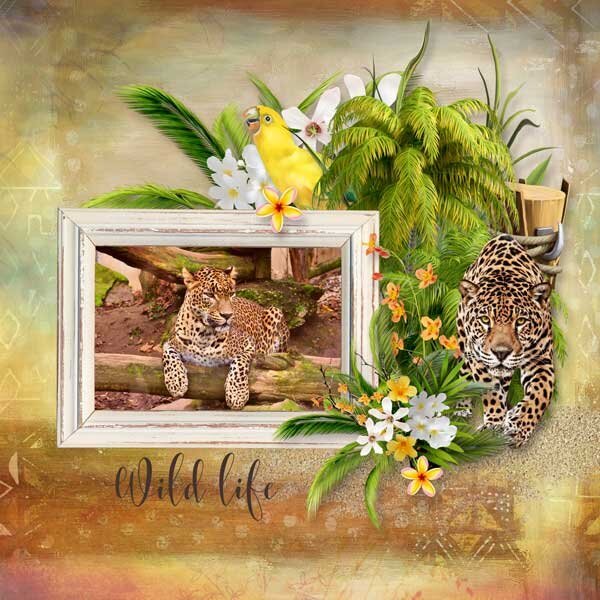 Wild life by DitaB Designs