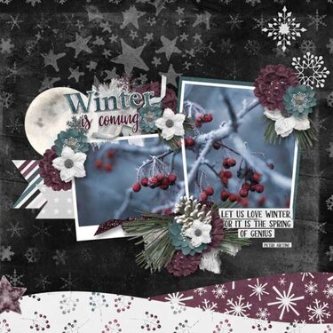 Winter Is Coming Bundle by Connie Prince