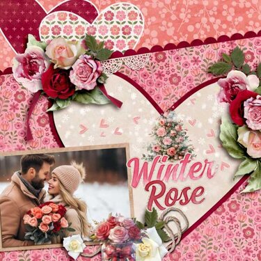 Winter Rose  by Aimee Harrison 