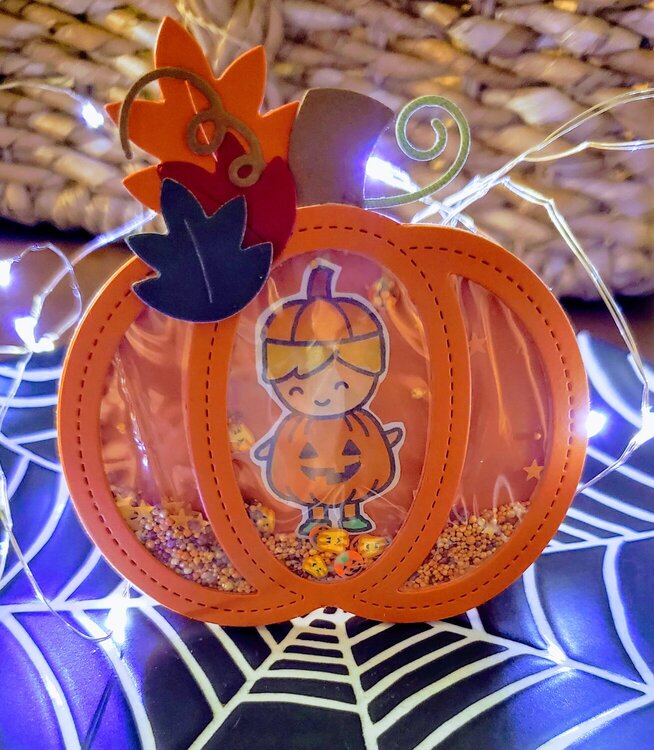 Pumpkin Shaped Shaker Card with sentiment inside - front view