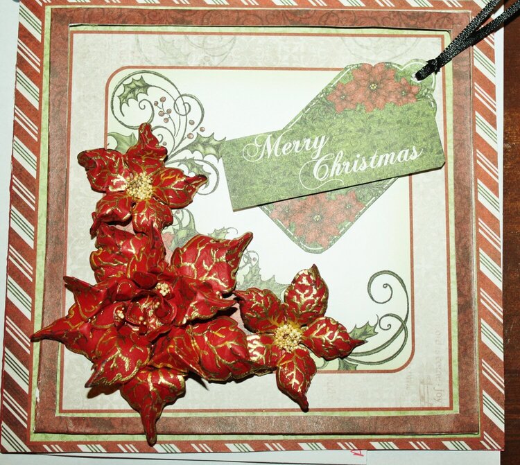Pointy Poinsettia Christmas Card