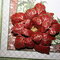 Heartfelt Creations Poinsettia