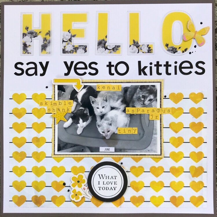 ~Say Yes To Kitties~