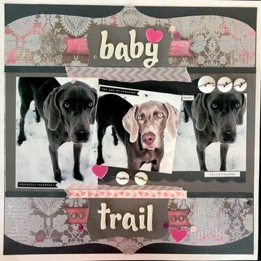 ~Baby Trail~