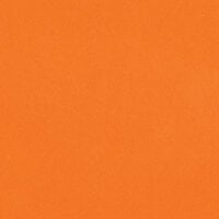 Bazzill Basics - 12 x 12 Cardstock - Smooth Texture - Orange Crush