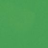 Bazzill Basics - 12 x 12 Cardstock - Smooth Texture - Green Apple