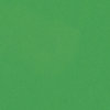 Bazzill Basics - 8.5 x 11 Cardstock - Smooth Texture - Green Apple