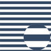 Bazzill Basics - 12 x 12 Acetate Paper - Stripes - Admiral