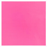 Bazzill Basics - 12 x 12 Plastic Embossing Paper - Pink Kiss