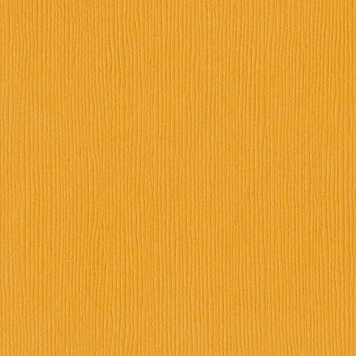 Bazzill Basics - 12 x 12 Cardstock - Grasscloth Texture - Fourz - Amber