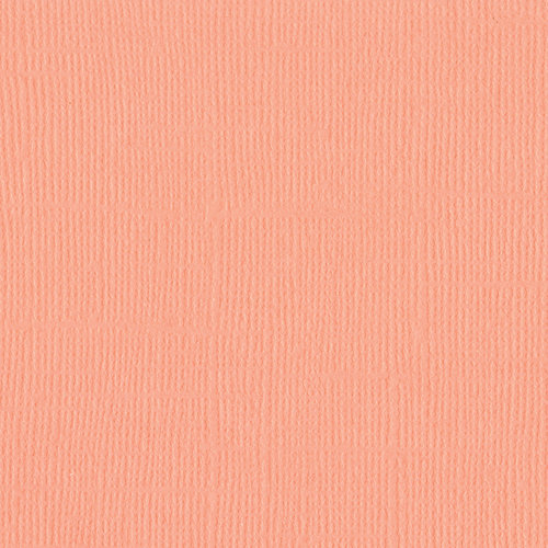 Bazzill Basics - 12 x 12 Cardstock - Canvas Texture - Mono - Coral Cream