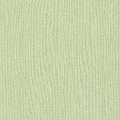 Bazzill Basics - 12 x 12 Cardstock - Canvas Texture - Mono - Aloe Vera