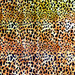 Heidi Swapp - MINC Collection - Reactive Foil - Leopard