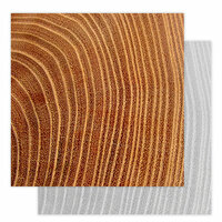 Studio Calico - Seven Paper - Elliot Collection - 12 x 12 Double Sided Paper - Paper 006