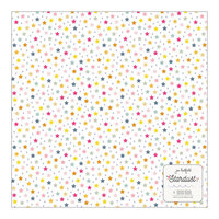 Jen Hadfield - Stardust Collection - 12 x 12 Specialty Paper - Printed Acetate with Silver Holographic Foil Accents