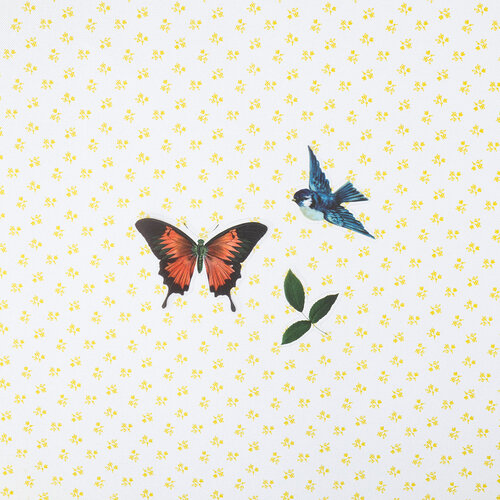 BoBunny - Brighton Collection - Stickers - Die Cut Clear