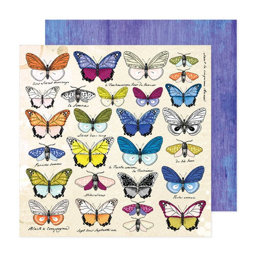 Vicki Boutin - Discover And Create Collection - 12 x 12 Double Sided Paper - Collector