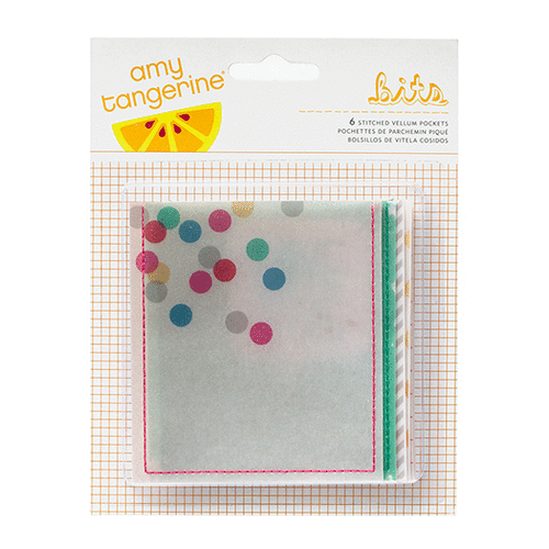American Crafts - Amy Tangerine Collection - Cut and Paste - Bits - Stitched Vellum Pockets