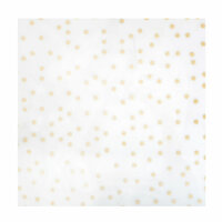 Crate Paper - Chasing Dreams Collection - 12 x 12 Acetate Paper with Glitter Accents - Magical