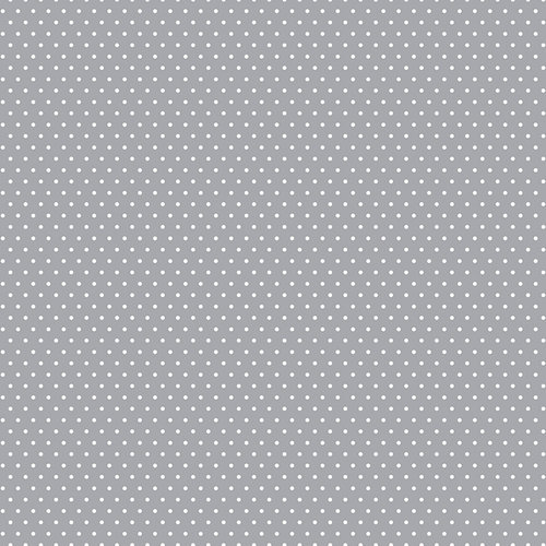 Core'dinations - 12 x 12 Paper - Grey Small Dot