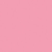 Core'dinations - 12 x 12 Cardstock - Pink