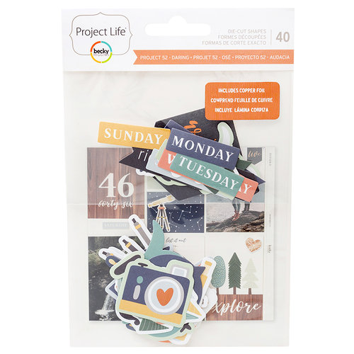 Becky Higgins - Project Life - Daring Collection - Project 52 - Ephemera with Foil Accents